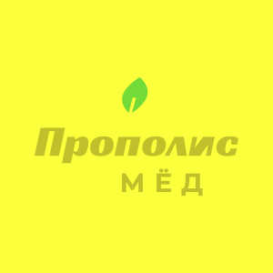 Целительные силы мёда и прополиса
